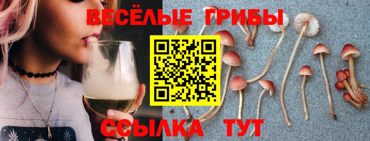 Бор  Галлюциногенные грибы ЛСД  Псилоцибиновые грибы Magic Shrooms  Вход с VPN 